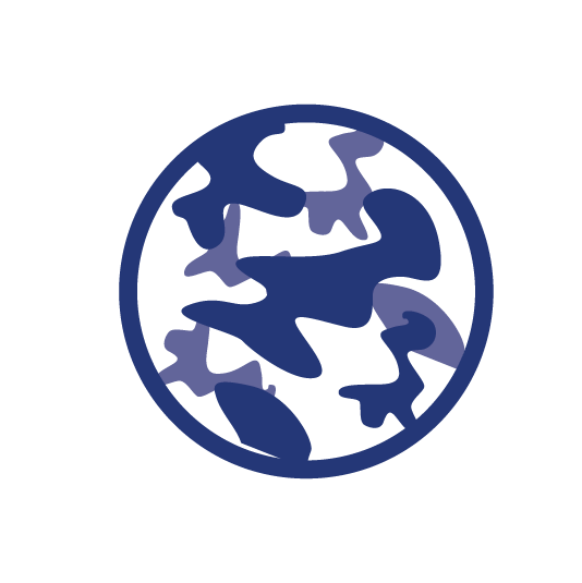 Icons - Blue_Camo Camouflage paint logo